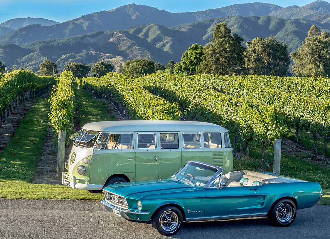 private marlborough sightseeing wine tours